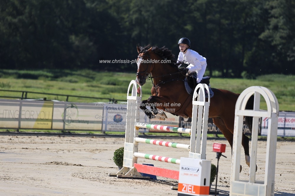 Preview malte borchers mit DSP comanche vl IMG_0748.jpg